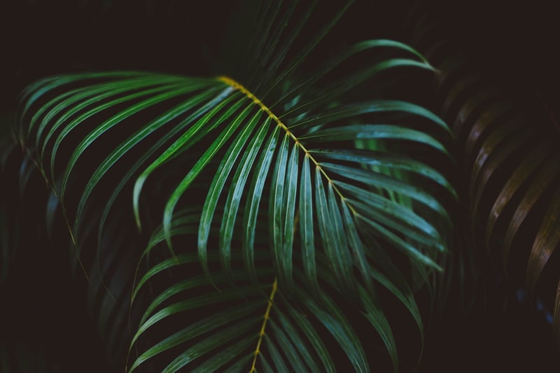 Green Leaves